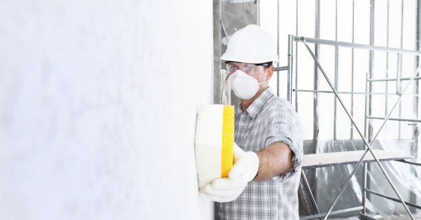 Best Commercial Mold Inspection  in Montour Falls, NY