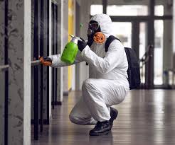 Best Mold Removal for HVAC Installations  in Montour Falls, NY